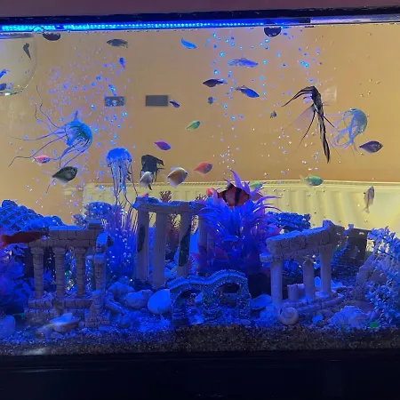 Gasthof Casa Yachi 3*