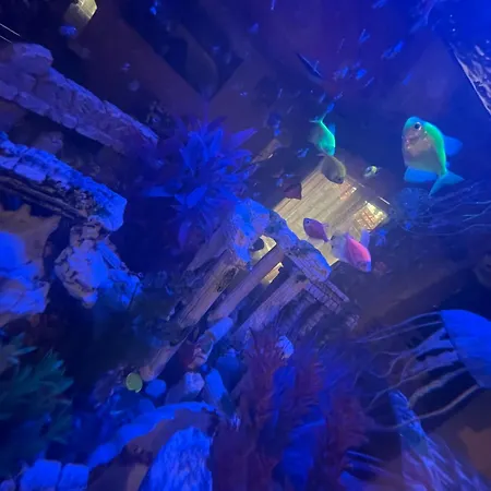 Casa Yachi 3* Vama Veche