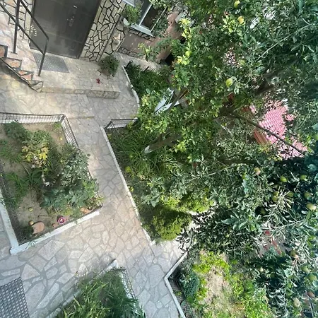 Casa Yachi Vama Veche