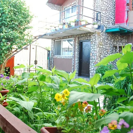 Casa Yachi Guest house Vama Veche
