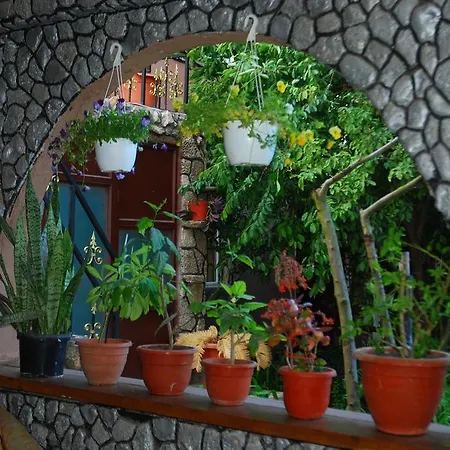 Casa Yachi Vama Veche