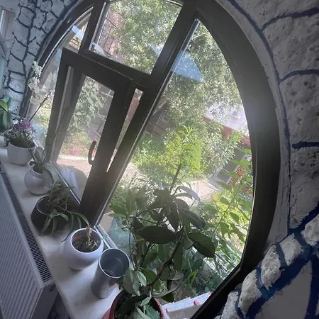 Affittacamere Casa Yachi Vama Veche