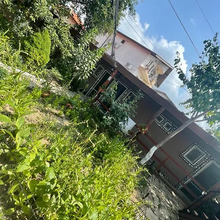 Guest house Casa Yachi