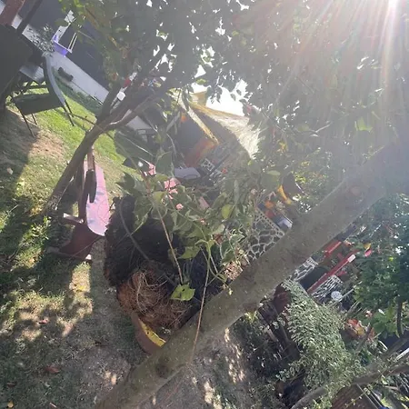 Vechea Vamă Casa Yachi Vechea Vamă Casa Yachi Vama Veche