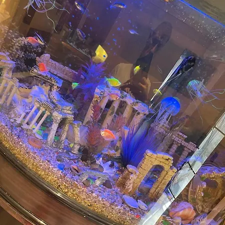 Vendégház Casa Yachi Vama Veche