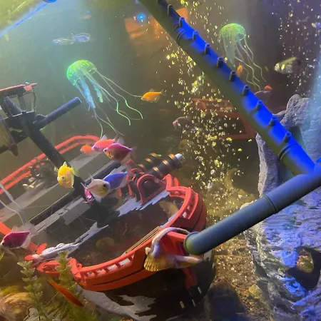 Casa Yachi Vama Veche