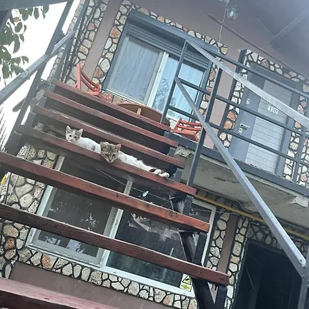Casa Yachi