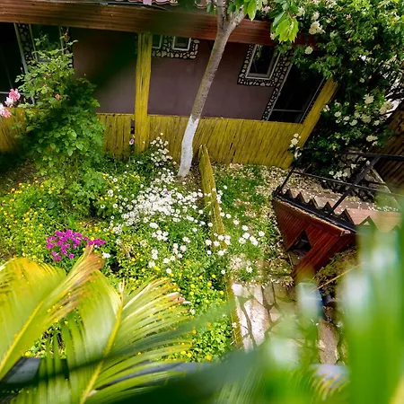 Casa Yachi Vendégház 4*