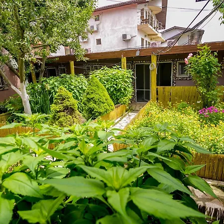 Vendégház Casa Yachi 4*