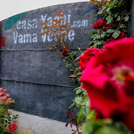 Casa Yachi 4* Vama Veche