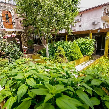 Casa Yachi 4*