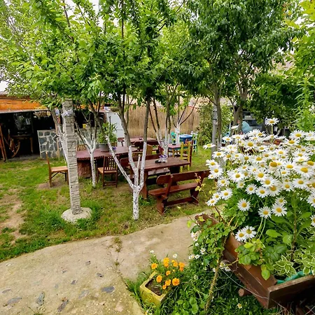 Vendégház Casa Yachi Vama Veche
