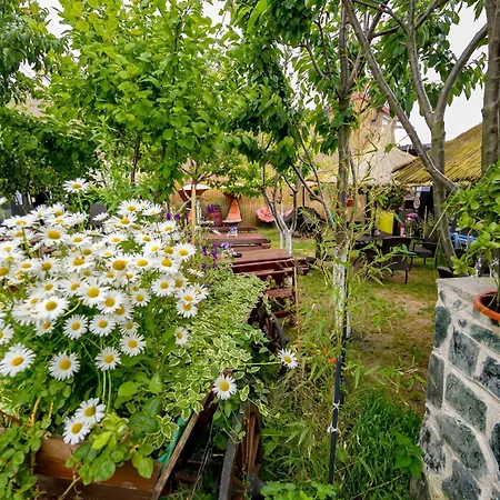 Casa Yachi Vendégház 4*