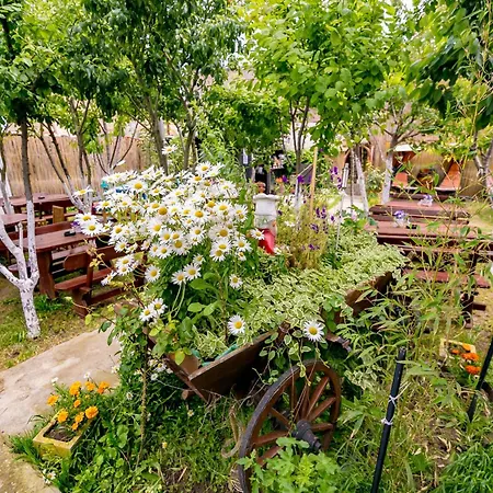 Casa Yachi Vama Veche