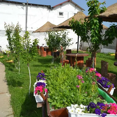 Guest house Casa Yachi Vama Veche